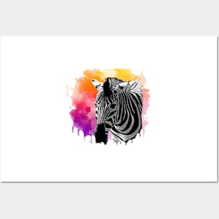 zebra drip Posters and Art